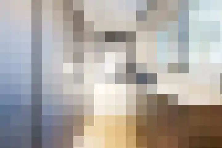 Brouwersveld 63 Koog aan de Zaan thumbnail 8