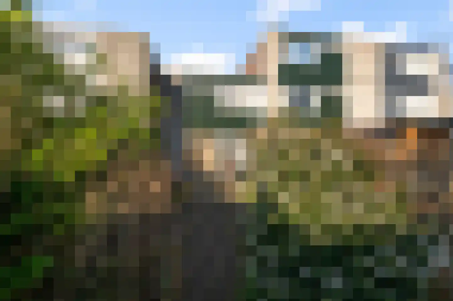 Brouwersveld 75 Koog aan de Zaan