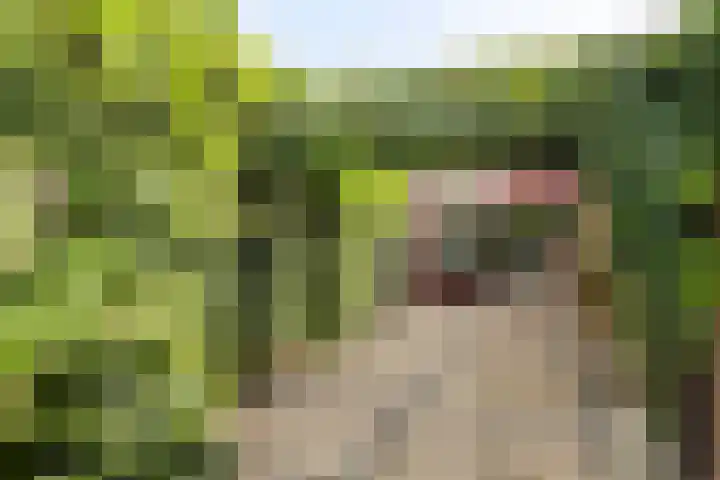 Brouwerswâl 17 Gorredijk thumbnail 22