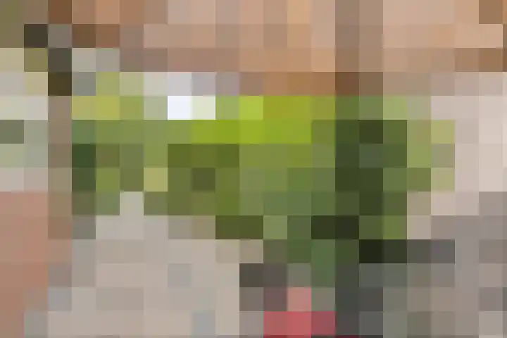 Brouwerswâl 17 Gorredijk thumbnail 23