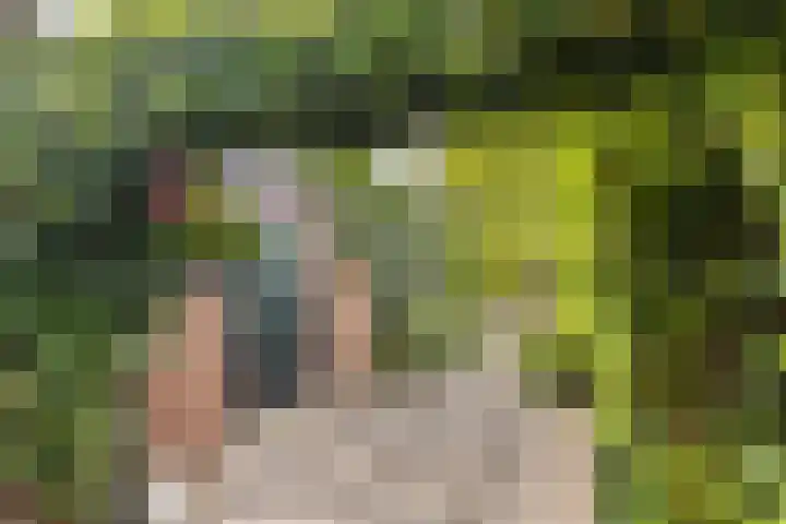 Brouwerswâl 17 Gorredijk thumbnail 34