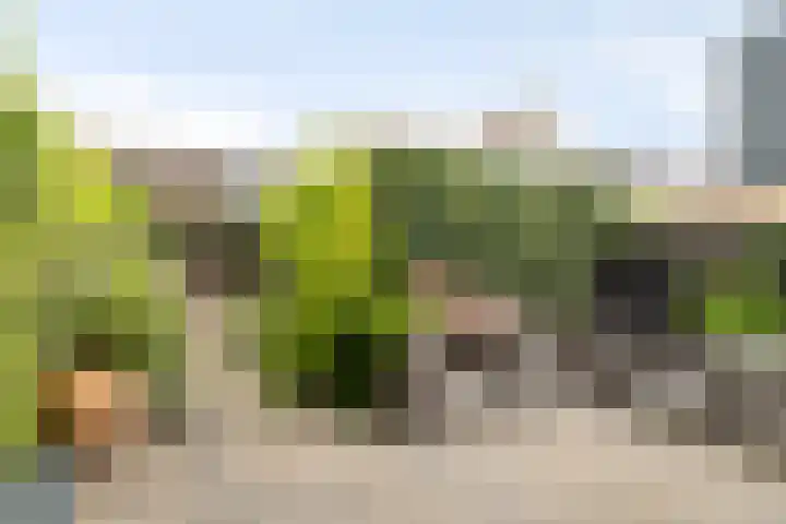 Brouwerswâl 17 Gorredijk thumbnail 37