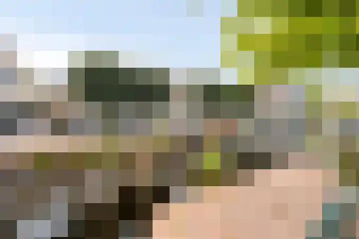 Brouwerswâl 17 Gorredijk thumbnail 39