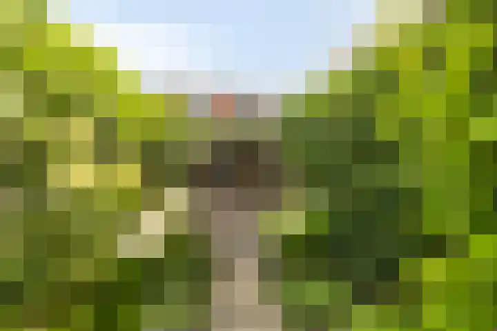 Brouwerswâl 17 Gorredijk thumbnail 4