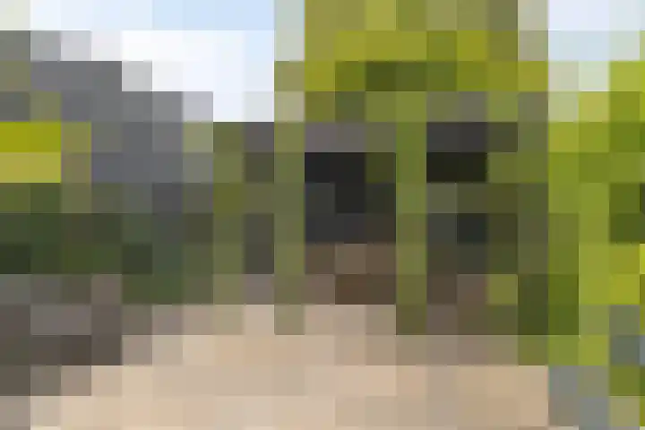 Brouwerswâl 17 Gorredijk thumbnail 5