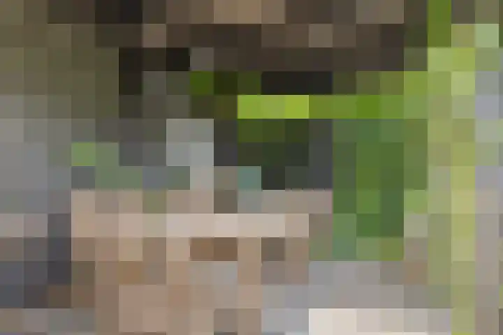 Brouwerswâl 17 Gorredijk thumbnail 6