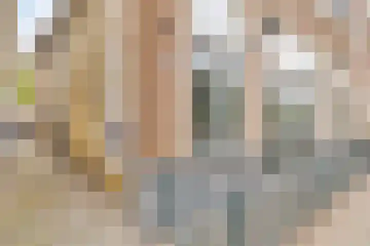 Brouwerswâl 17 Gorredijk thumbnail 7