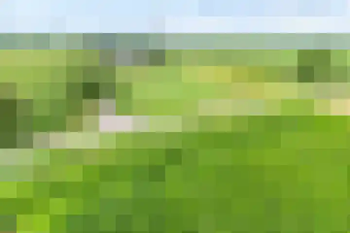 Brouwersweg 1 Dalfsen thumbnail 10