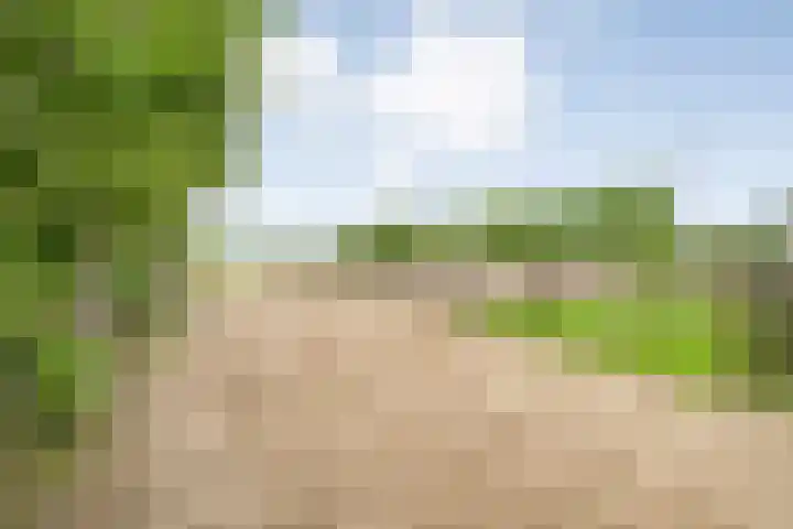 Brouwersweg 1 Dalfsen thumbnail 100