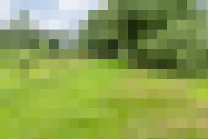 Brouwersweg 1 Dalfsen thumbnail 102