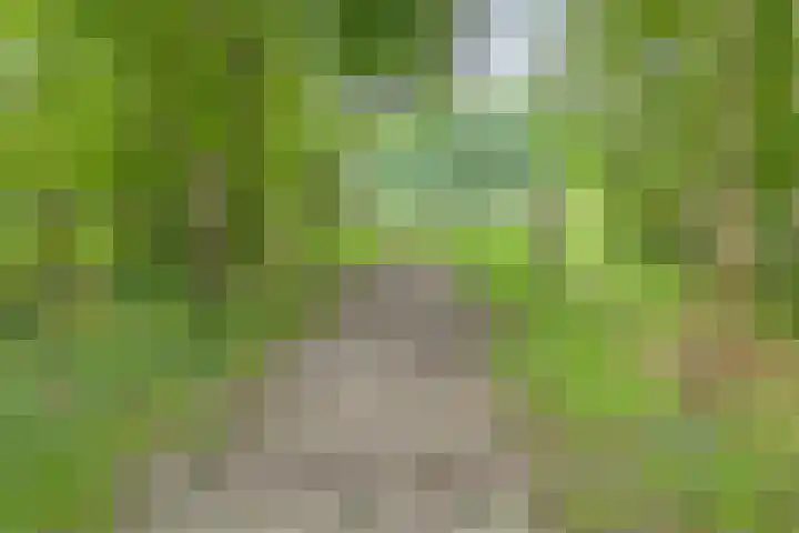 Brouwersweg 1 Dalfsen thumbnail 103