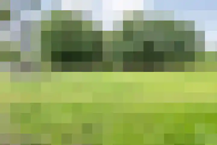 Brouwersweg 1 Dalfsen thumbnail 104