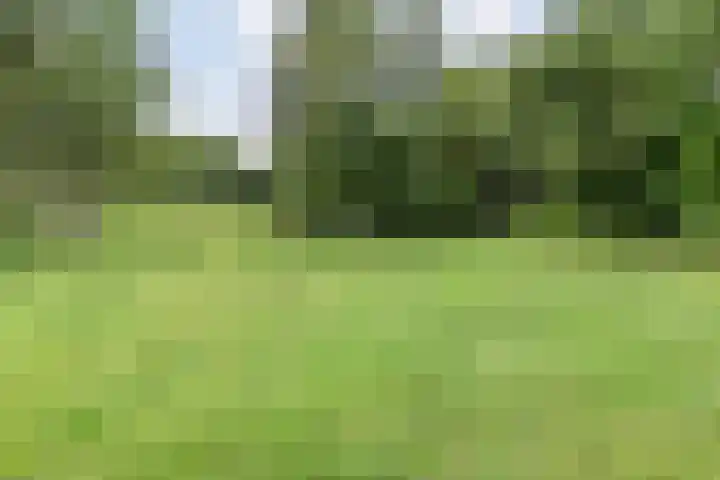 Brouwersweg 1 Dalfsen thumbnail 106