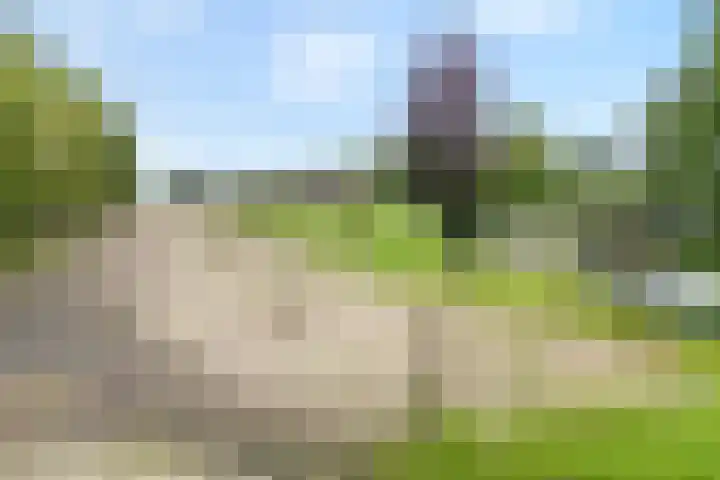 Brouwersweg 1 Dalfsen thumbnail 107
