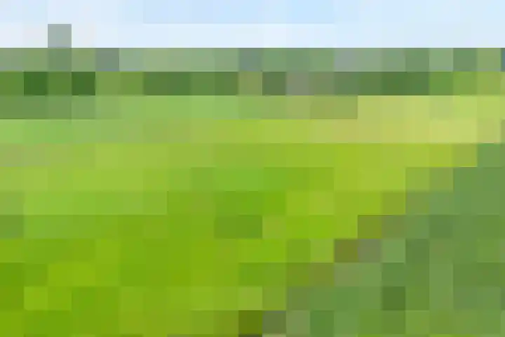 Brouwersweg 1 Dalfsen thumbnail 11