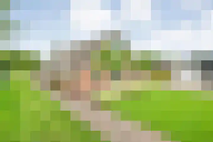 Brouwersweg 1 Dalfsen thumbnail 112