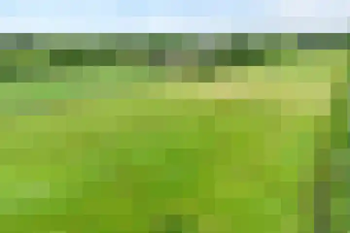 Brouwersweg 1 Dalfsen thumbnail 12