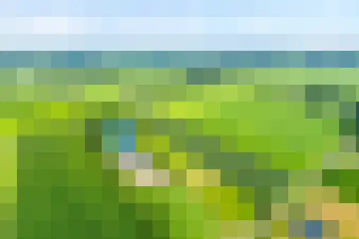 Brouwersweg 1 Dalfsen thumbnail 13