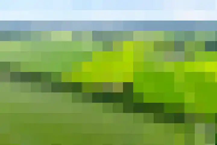 Brouwersweg 1 Dalfsen thumbnail 14