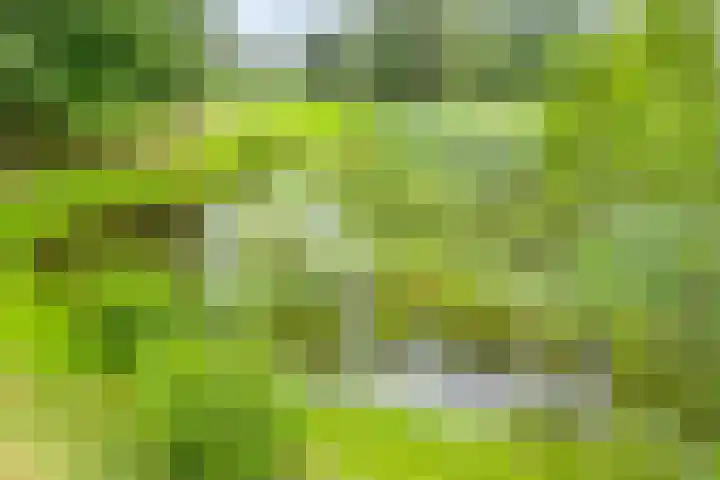 Brouwersweg 1 Dalfsen thumbnail 15