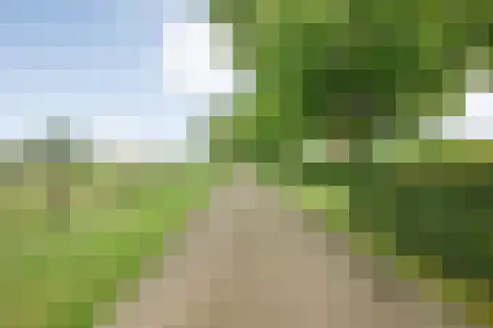 Brouwersweg 1 Dalfsen thumbnail 16