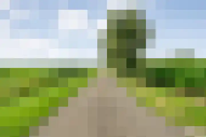 Brouwersweg 1 Dalfsen thumbnail 17
