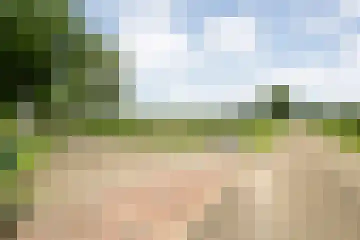 Brouwersweg 1 Dalfsen thumbnail 18
