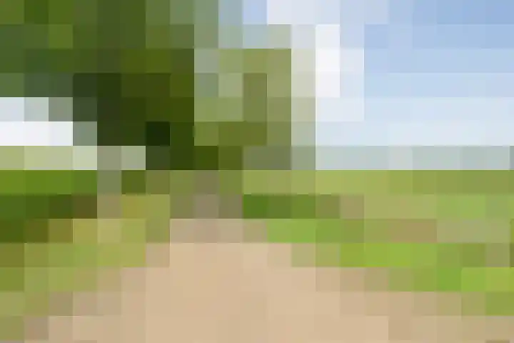 Brouwersweg 1 Dalfsen thumbnail 19