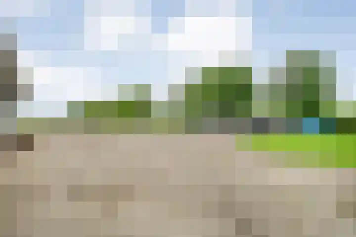 Brouwersweg 1 Dalfsen thumbnail 20