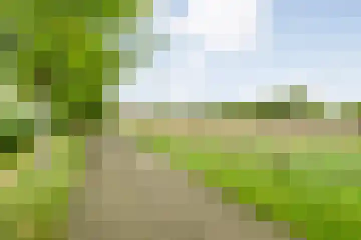 Brouwersweg 1 Dalfsen thumbnail 21