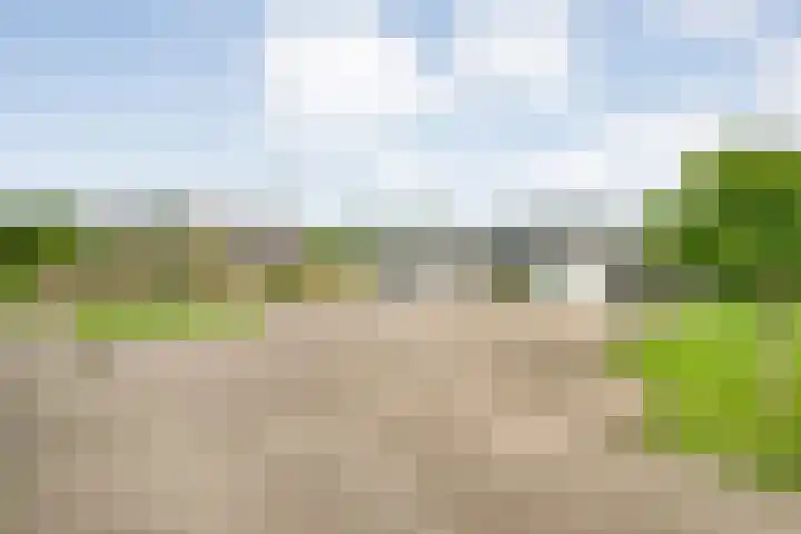 Brouwersweg 1 Dalfsen thumbnail 22