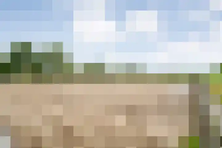 Brouwersweg 1 Dalfsen thumbnail 23