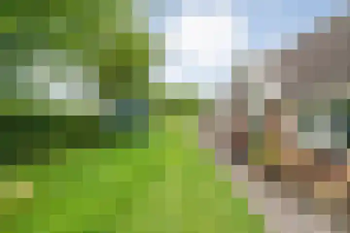 Brouwersweg 1 Dalfsen thumbnail 24