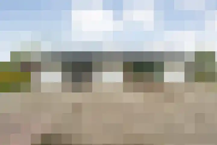 Brouwersweg 1 Dalfsen thumbnail 25
