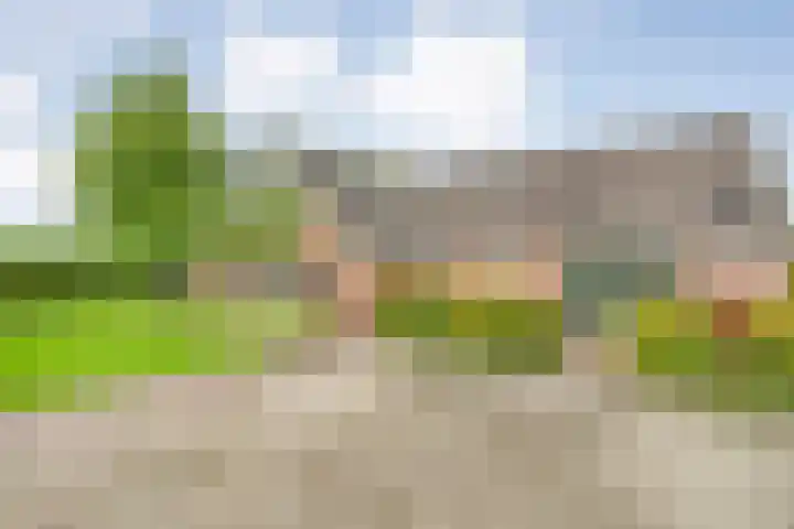 Brouwersweg 1 Dalfsen thumbnail 26
