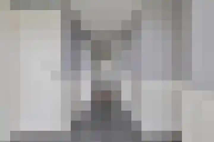 Brouwersweg 1 Dalfsen thumbnail 27