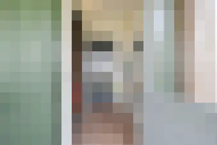 Brouwersweg 1 Dalfsen thumbnail 29