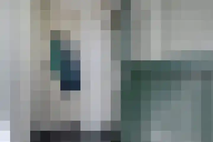 Brouwersweg 1 Dalfsen thumbnail 30