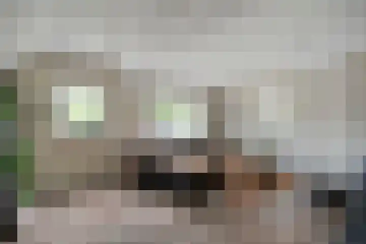 Brouwersweg 1 Dalfsen thumbnail 35