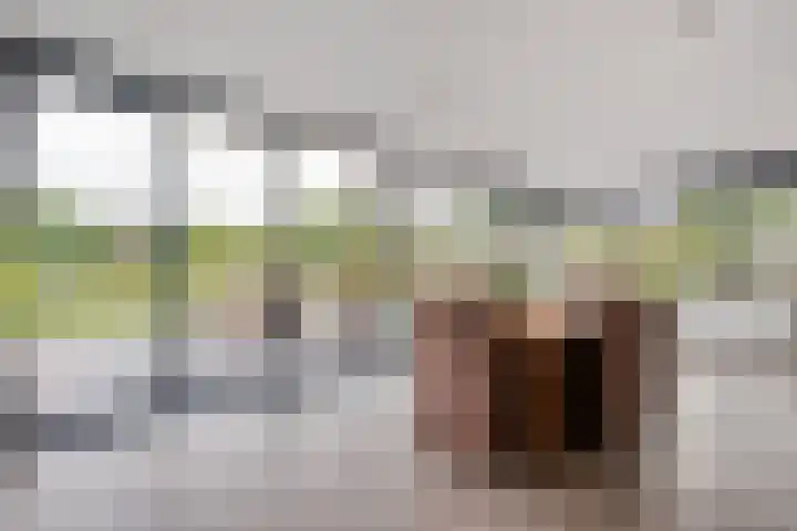 Brouwersweg 1 Dalfsen thumbnail 36