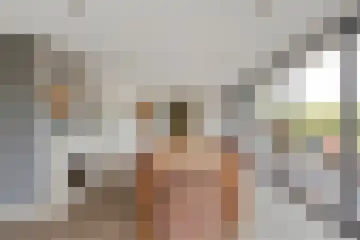 Brouwersweg 1 Dalfsen thumbnail 39