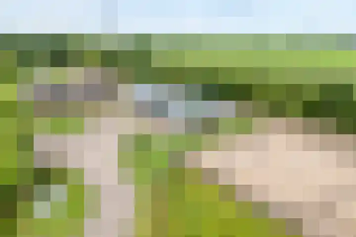 Brouwersweg 1 Dalfsen thumbnail 4