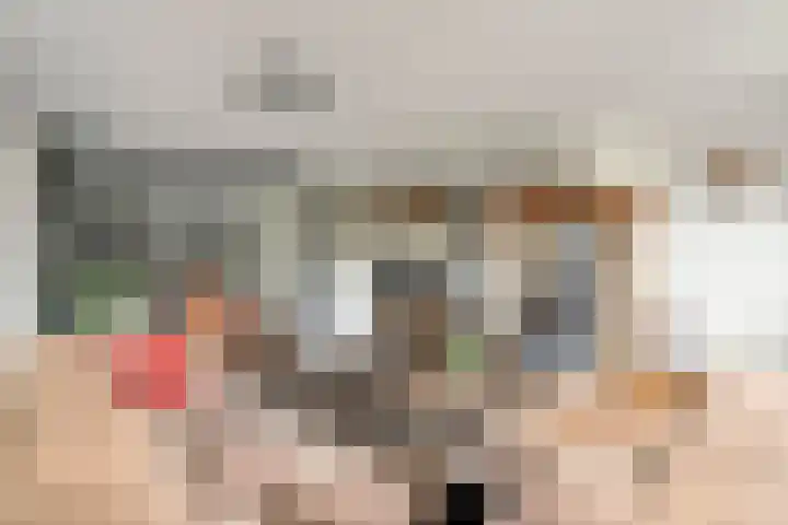 Brouwersweg 1 Dalfsen thumbnail 42
