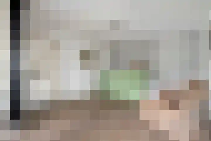 Brouwersweg 1 Dalfsen thumbnail 44