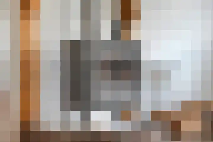 Brouwersweg 1 Dalfsen thumbnail 45
