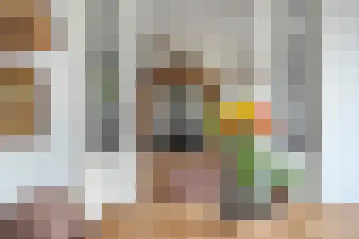 Brouwersweg 1 Dalfsen thumbnail 46