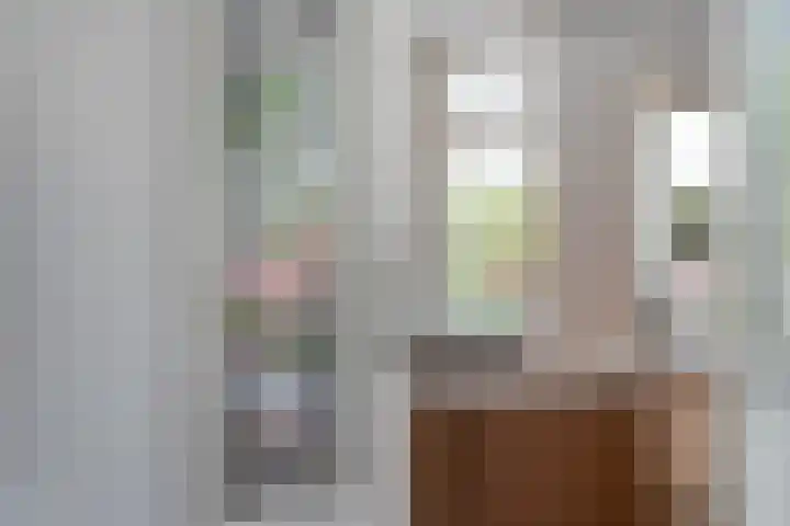 Brouwersweg 1 Dalfsen thumbnail 48