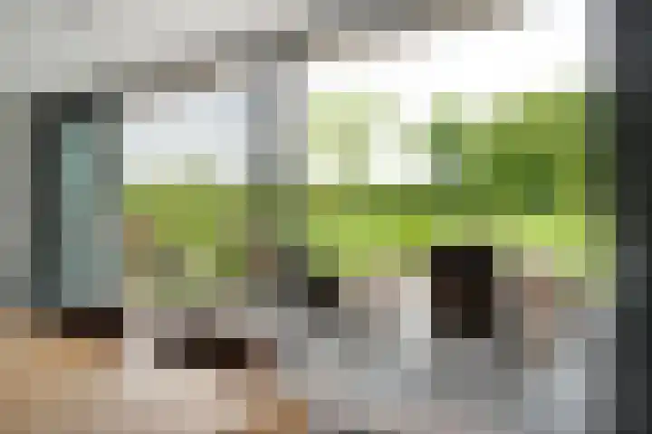 Brouwersweg 1 Dalfsen thumbnail 49