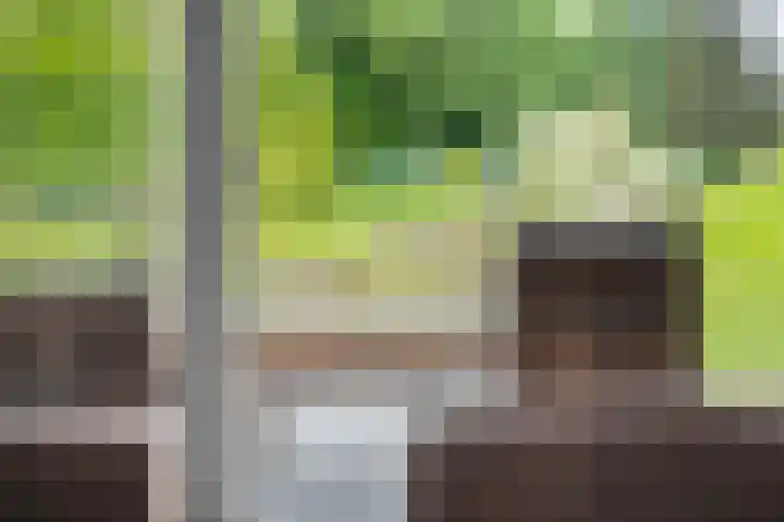 Brouwersweg 1 Dalfsen thumbnail 50