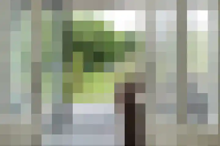 Brouwersweg 1 Dalfsen thumbnail 52